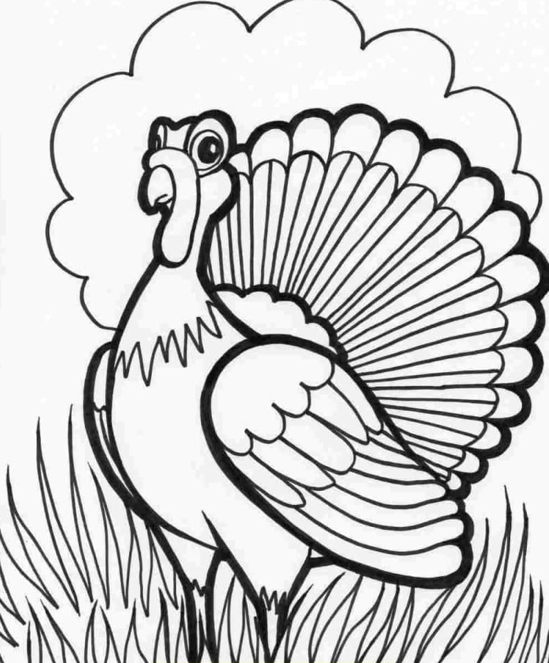 Turkey Coloring Pages